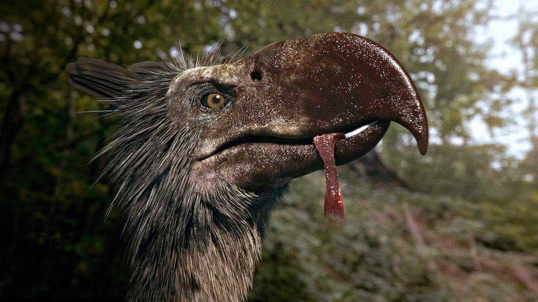 十大致命的捕食者 Top Ten Deadliest Beasts