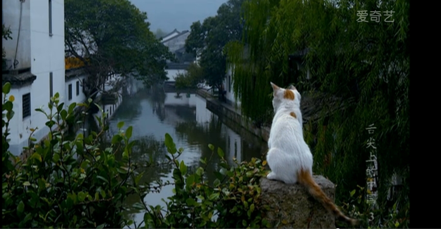 舌尖上的中国 第一季