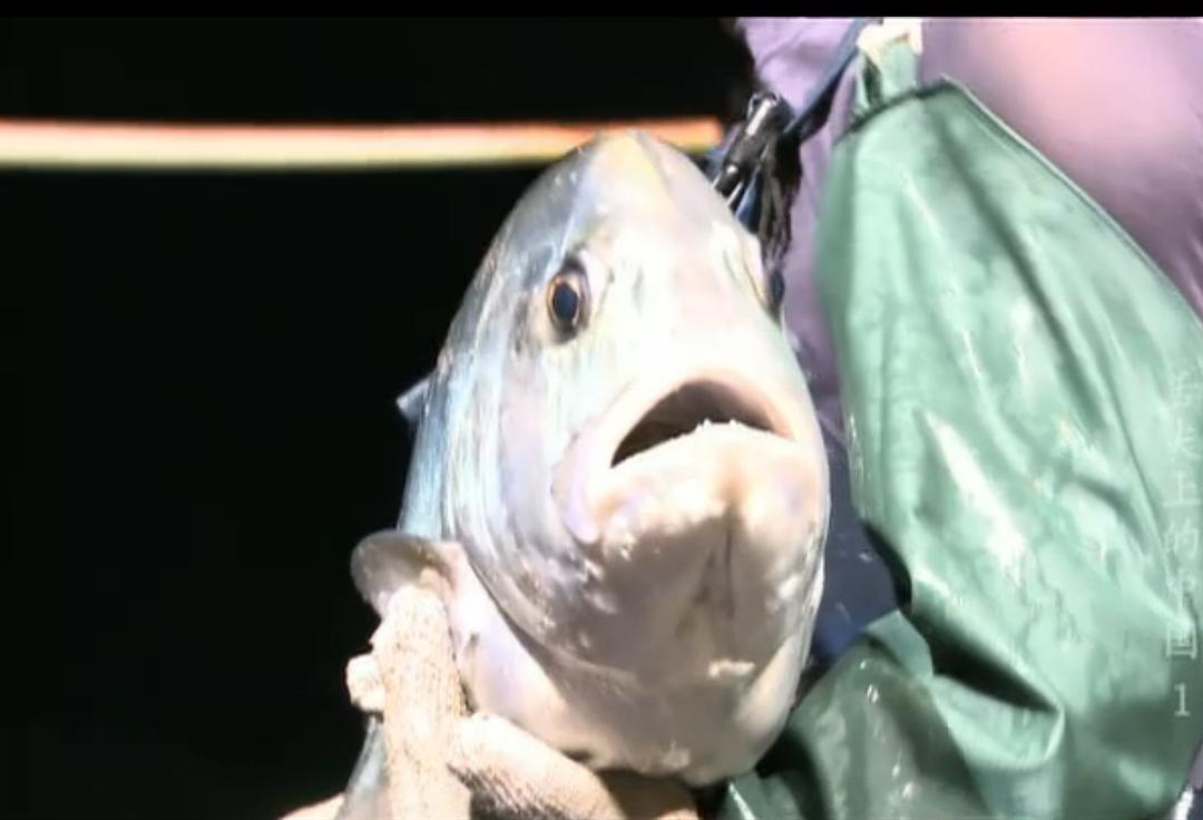 舌尖上的中国 第一季