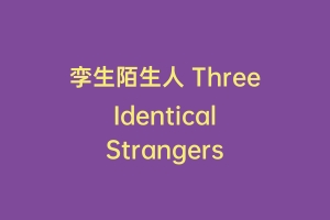 孪生陌生人 Three Identical Strangers