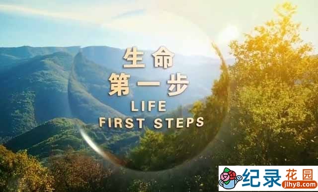 生命诞生纪录片《生命第一步 Life First Steps》全3集中字 TS/蓝光高清纪录片资源百度云盘下载