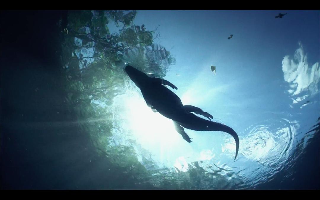 海湾的飓风 Hurricane on the Bayou