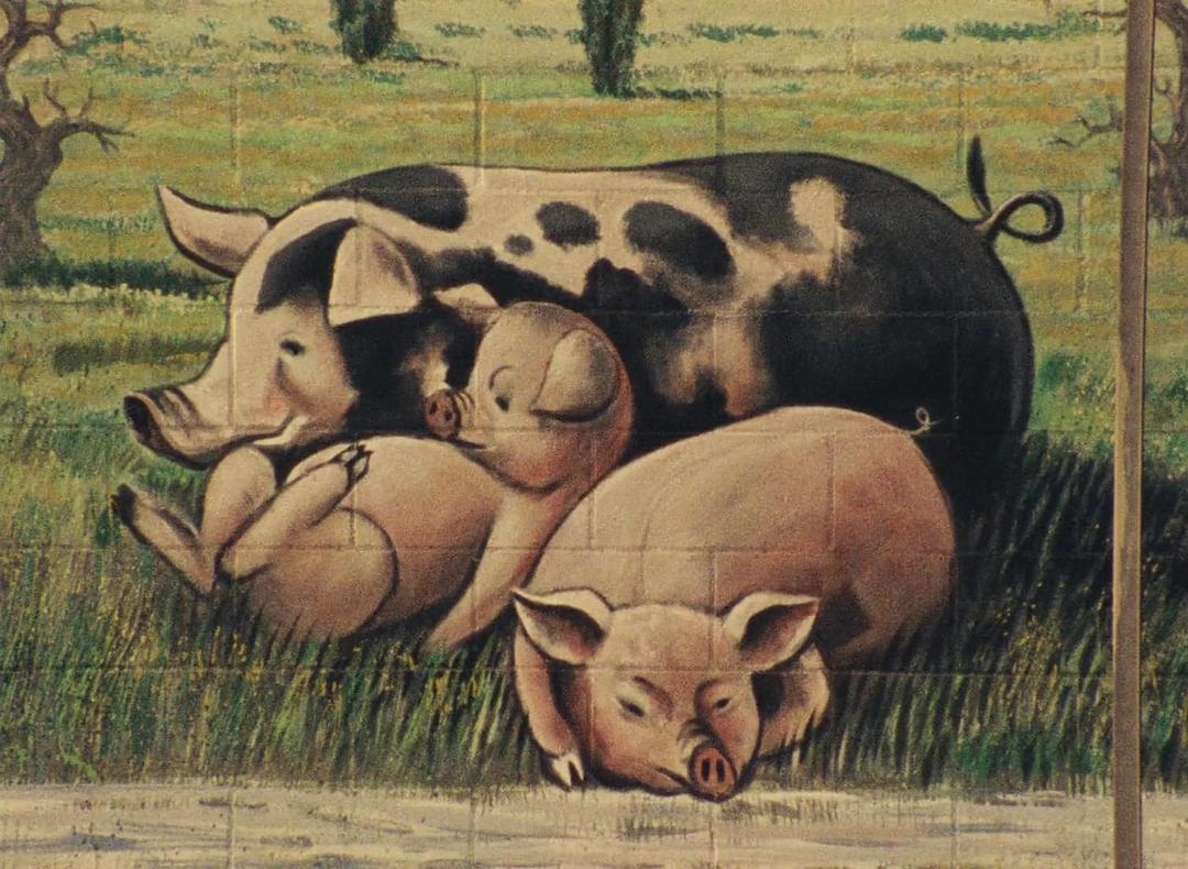 墙的呢喃 Mur murs