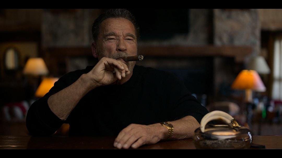 阿诺·施瓦辛格：人生三部曲 Arnold