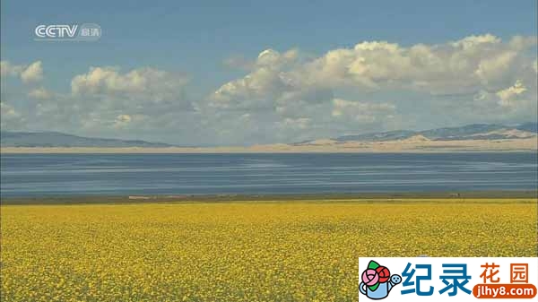 CCTV央视历史人文纪录片《新丝绸之路 New Silkroad 2006》全11集 720P/1080i高清纪录片资源百度云盘下载