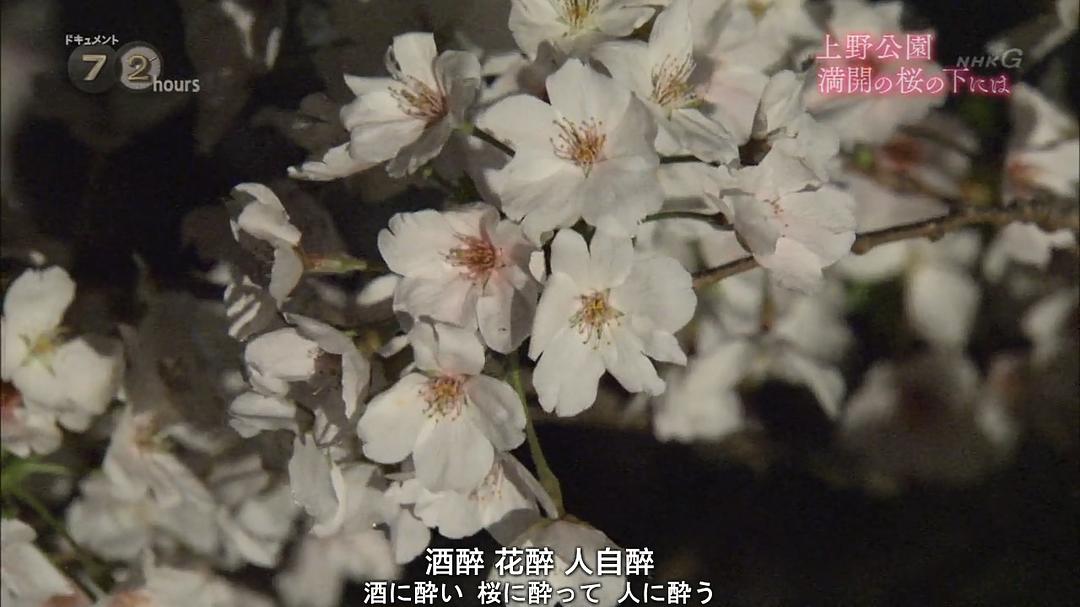 纪实72小时 上野公园 盛开的樱花 ドキュメント72時間 上野公園・満開の桜の下には