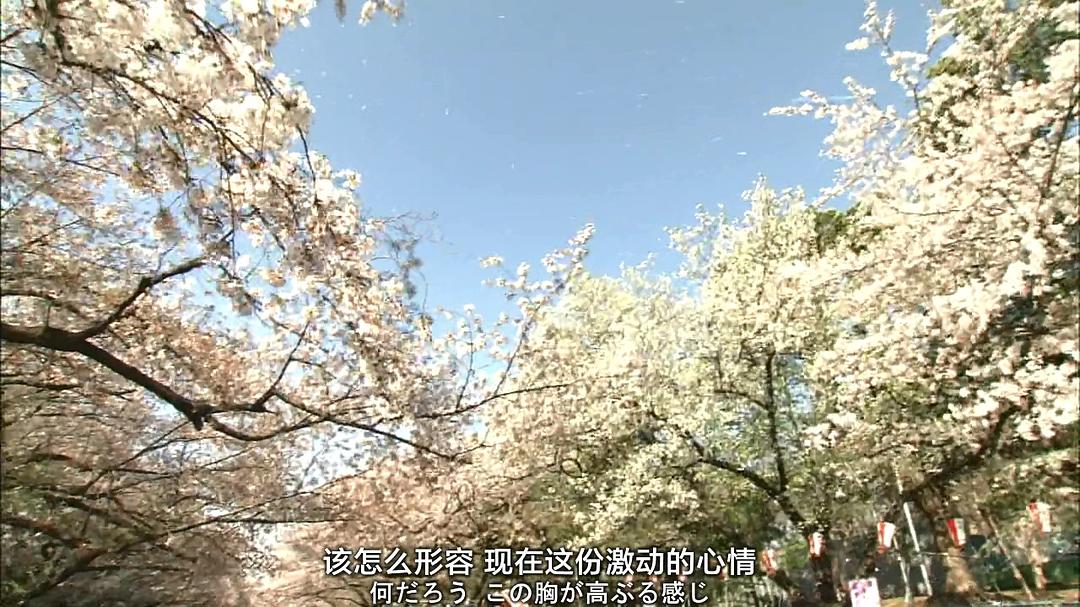 纪实72小时 上野公园 盛开的樱花 ドキュメント72時間 上野公園・満開の桜の下には
