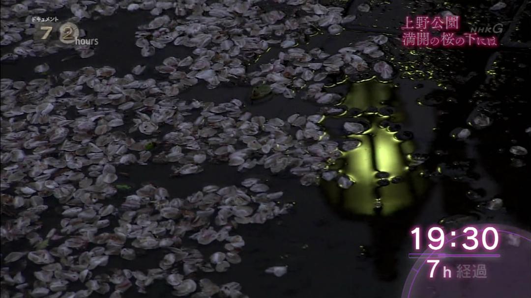 纪实72小时 上野公园 盛开的樱花 ドキュメント72時間 上野公園・満開の桜の下には