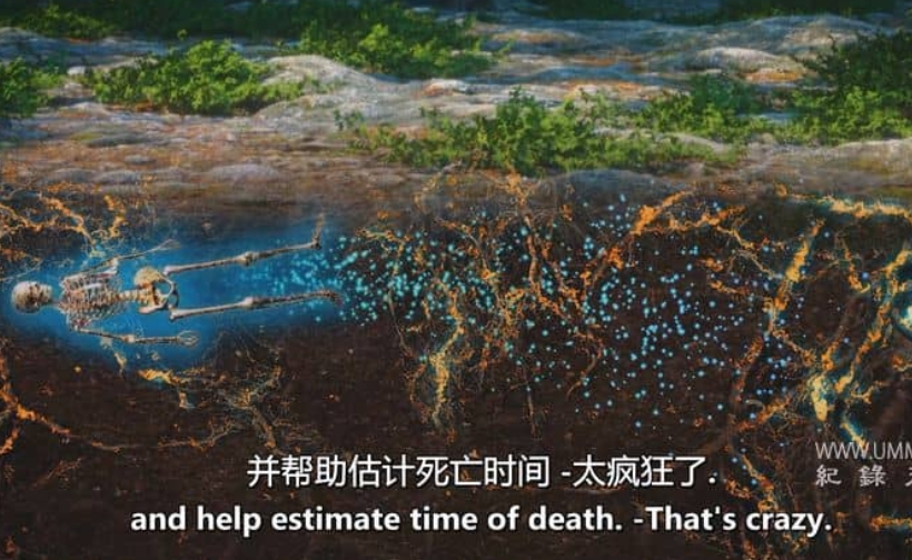 笑死人不偿命的科学 Funny or Die's High Science