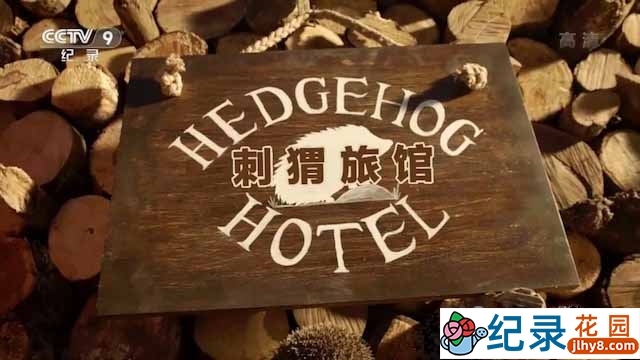 BBC动物行为研究纪录片《刺猬旅馆 Hedgehog Hotel》全1集中字 TS/蓝光高清纪录片资源百度云盘下载