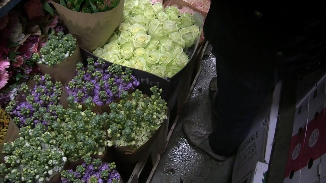 世界上最大的鲜花市场 The World's Biggest Flower Market