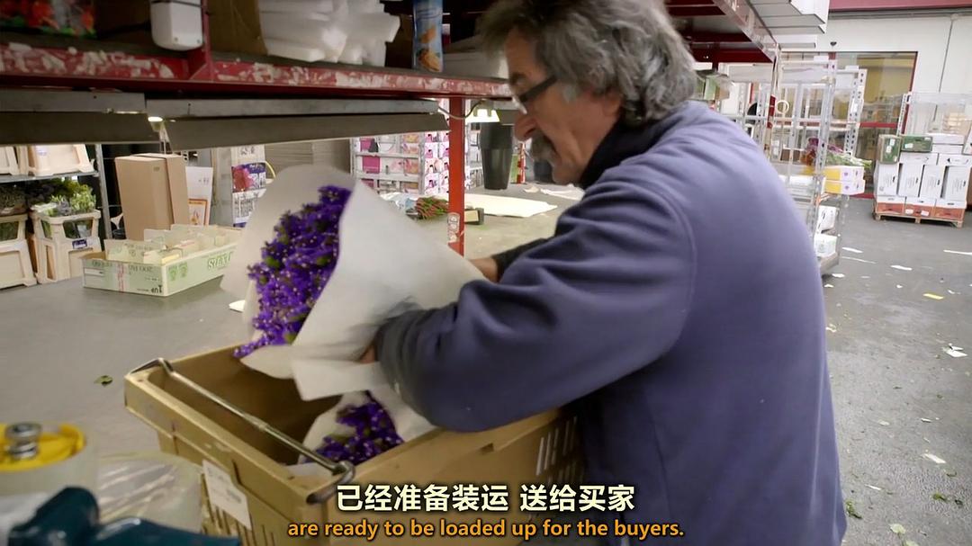 世界上最大的鲜花市场 The World's Biggest Flower Market
