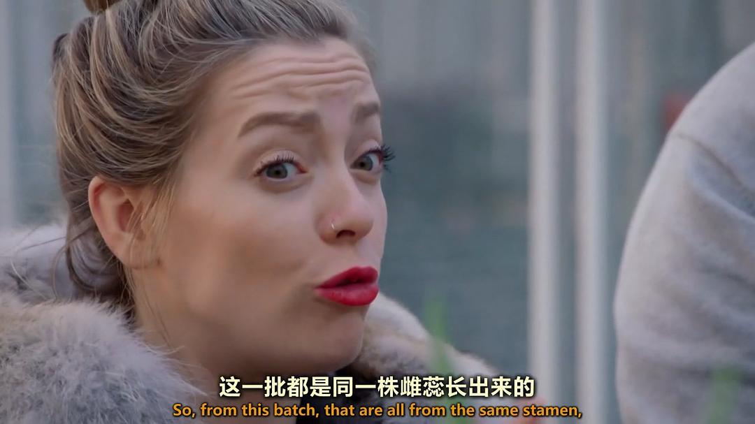 世界上最大的鲜花市场 The World's Biggest Flower Market