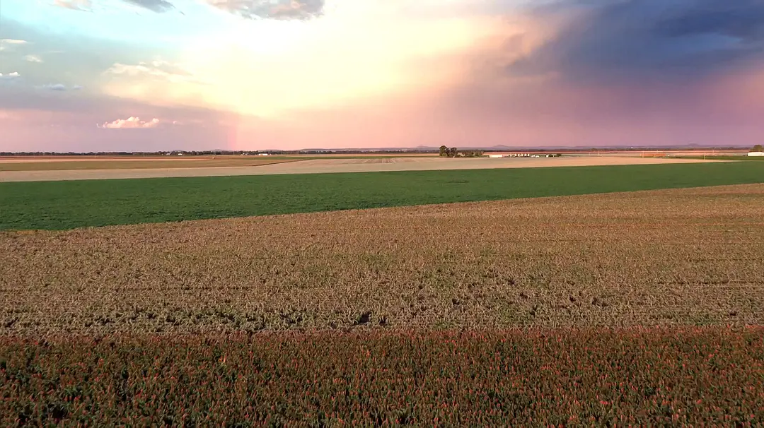 绿野仙澳 Australia: Earth's Magical Kingdom