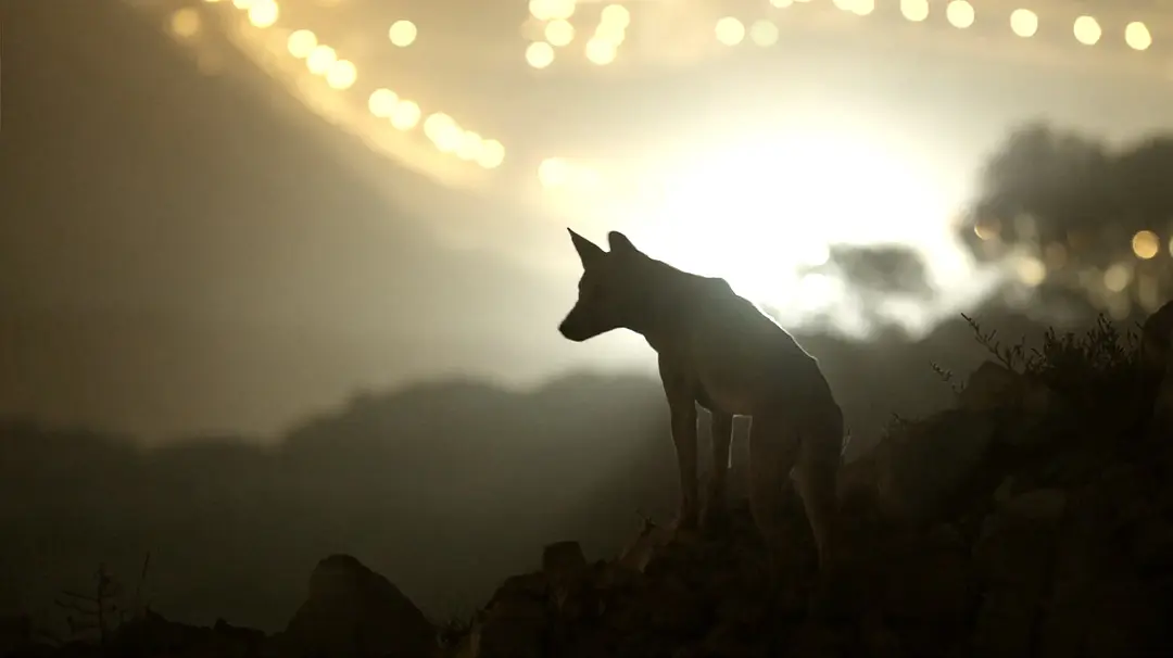 绿野仙澳 Australia: Earth's Magical Kingdom