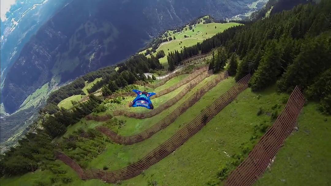 追寻自由 The Search for Freedom