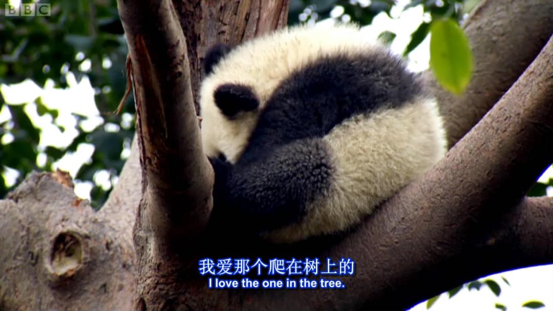 发现中国：美食之旅 Exploring China: A Culinary Adventure