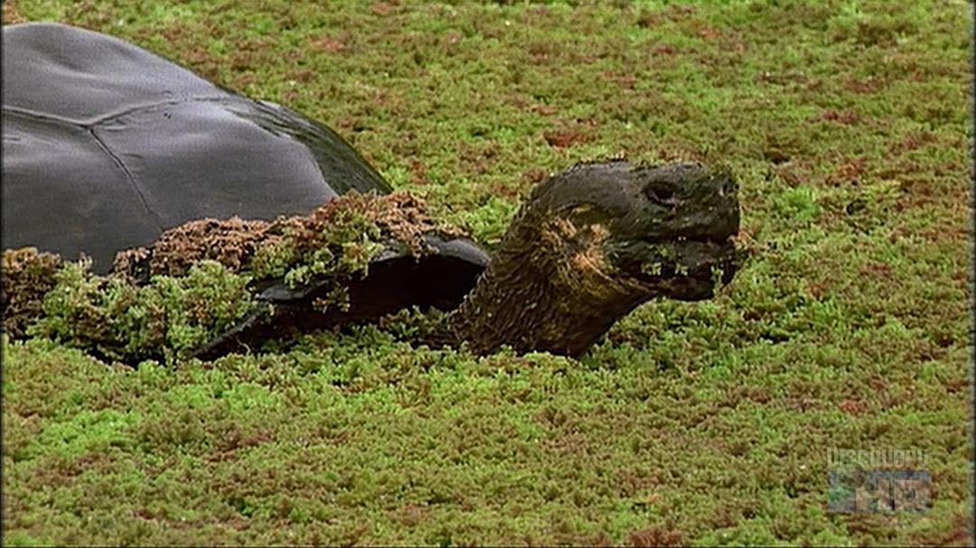 史上100个伟大发现 100 Greatest Discoveries