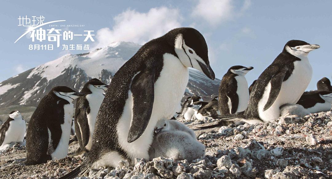 地球：神奇的一天 Earth: One Amazing Day