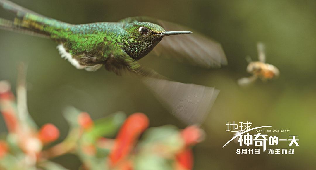 地球：神奇的一天 Earth: One Amazing Day