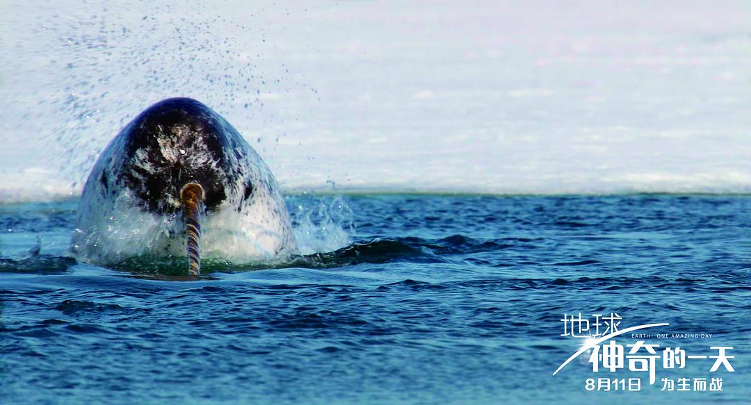 地球：神奇的一天 Earth: One Amazing Day