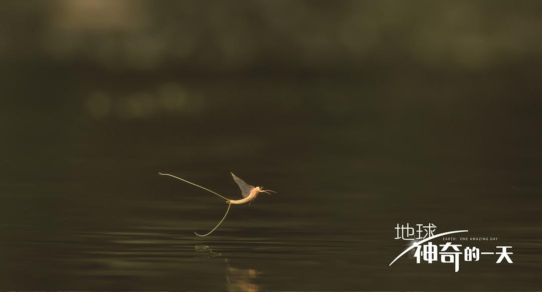 地球：神奇的一天 Earth: One Amazing Day