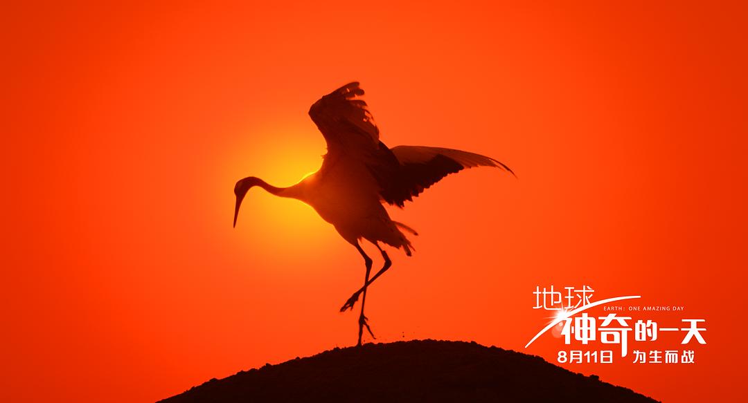 地球：神奇的一天 Earth: One Amazing Day