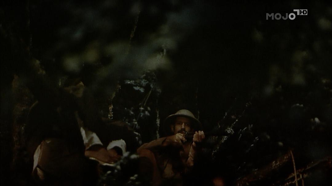 印度：老虎王国 India: Kingdom of the Tiger