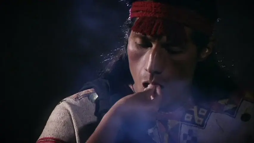 枪炮病菌与钢铁 Guns, Germs, and Steel