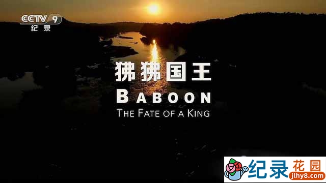 央视野生动物纪录片《狒狒国王》全1集 TS/蓝光高清纪录片资源百度云盘下载