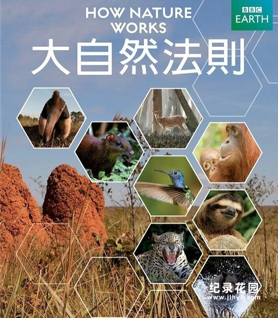 BBC自然生态纪录片《自然的运作 How Nature Works》全4集 720P/1080i高清纪录片百度云