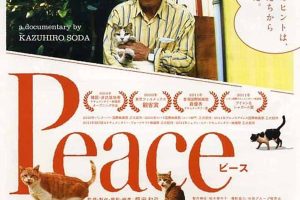 日本社会人文纪录片《完全和平手冊 Peace》全1集中字 纪录片资源百度云盘下载 720P/MP4/907M