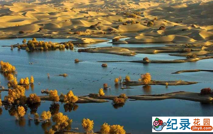 CCTV央视人文地理纪录片《塔里木河 Tarim river》全6集 720P/1080i高清纪录片百度云下载