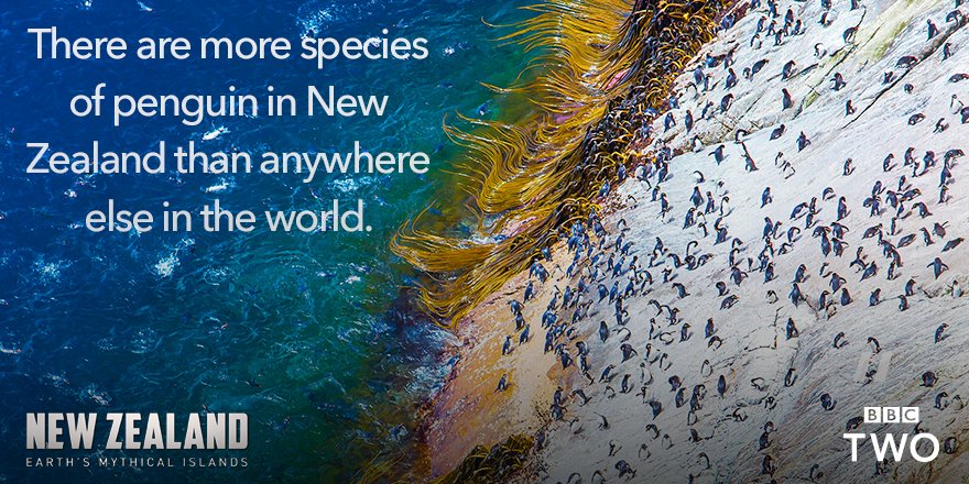 新西兰：神话之岛 New Zealand: Earth’s Mythical Islands