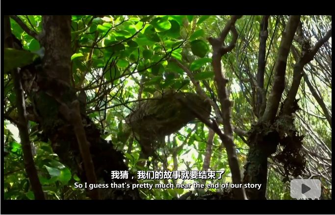 新西兰：神话之岛 New Zealand: Earth’s Mythical Islands