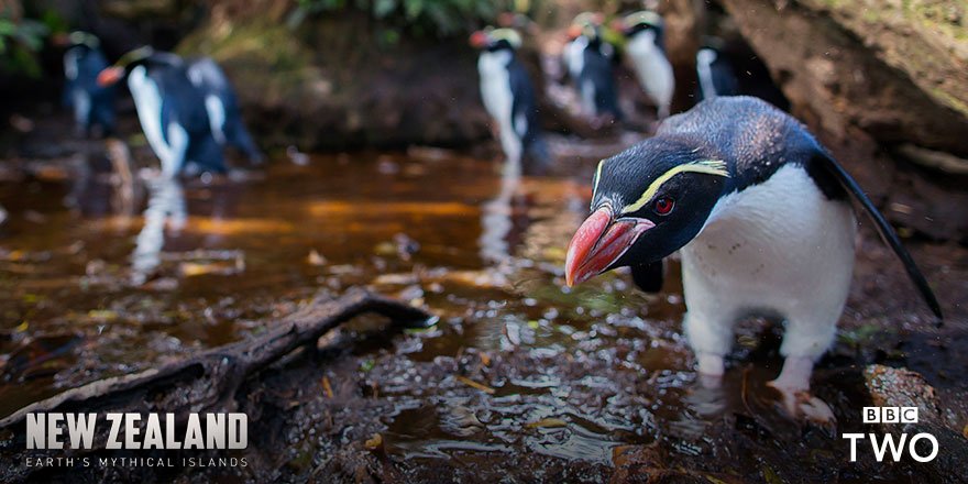 新西兰：神话之岛 New Zealand: Earth’s Mythical Islands