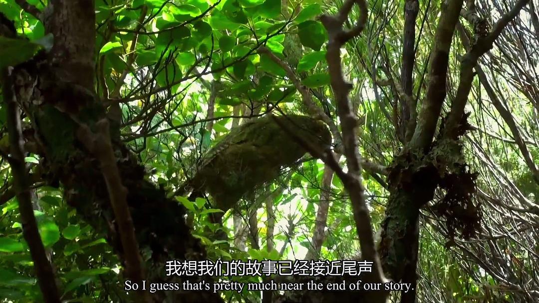 新西兰：神话之岛 New Zealand: Earth’s Mythical Islands