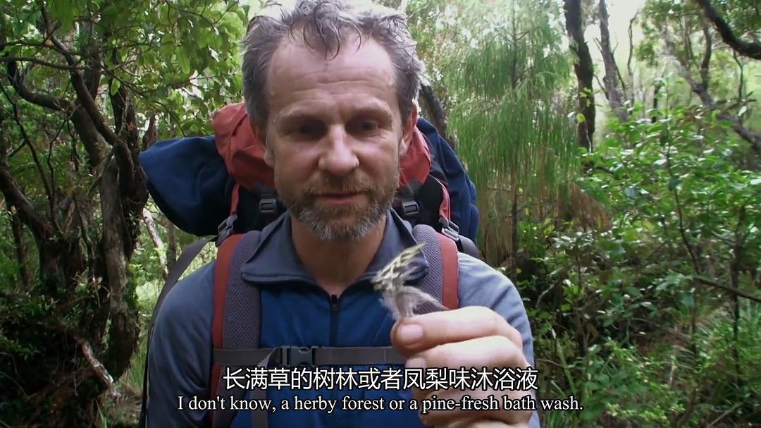 新西兰：神话之岛 New Zealand: Earth’s Mythical Islands