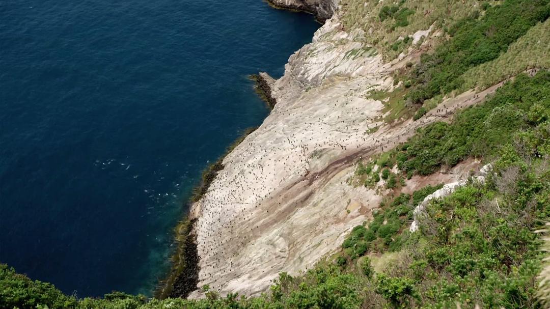 新西兰：神话之岛 New Zealand: Earth’s Mythical Islands