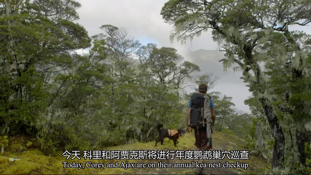 新西兰：神话之岛 New Zealand: Earth’s Mythical Islands