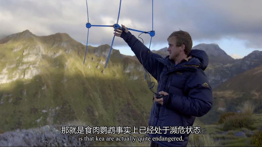 新西兰：神话之岛 New Zealand: Earth’s Mythical Islands