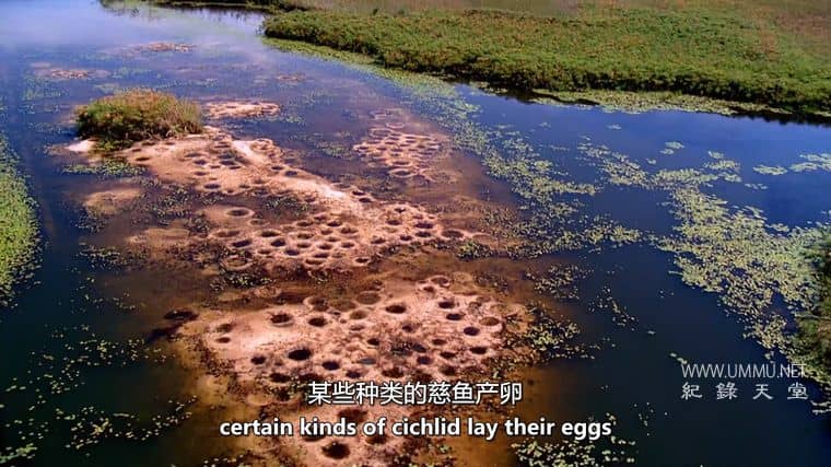 非洲的沙漠河 Africa’s Desert River