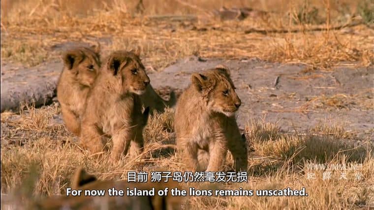 非洲的沙漠河 Africa’s Desert River