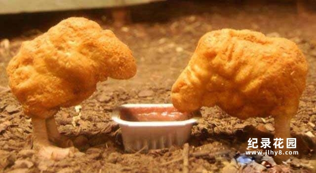 PTS食品安全纪录片《鸡块的秘密 The Secrets of Chicken Nuggets》全1集中字 720P/1080i高清纪录片资源百度云盘下载