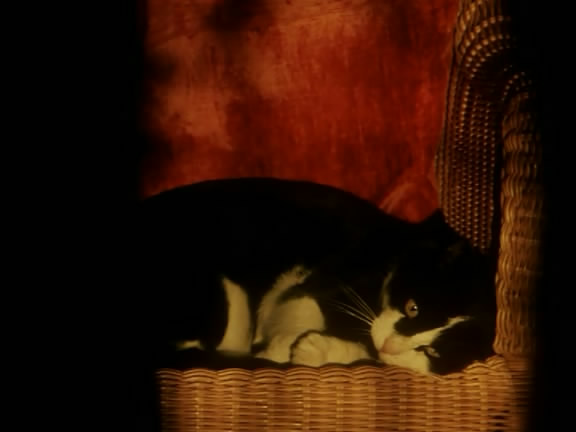 风的第一声呼吸 Al primo soffio di vento