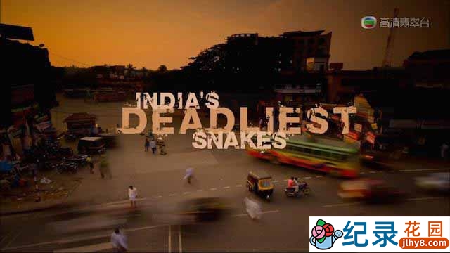 BBC生命探索纪录片《印度毒蛇之最 India’s Deadliest Snakes》全1集 720P/1080i高清纪录片百度云下载