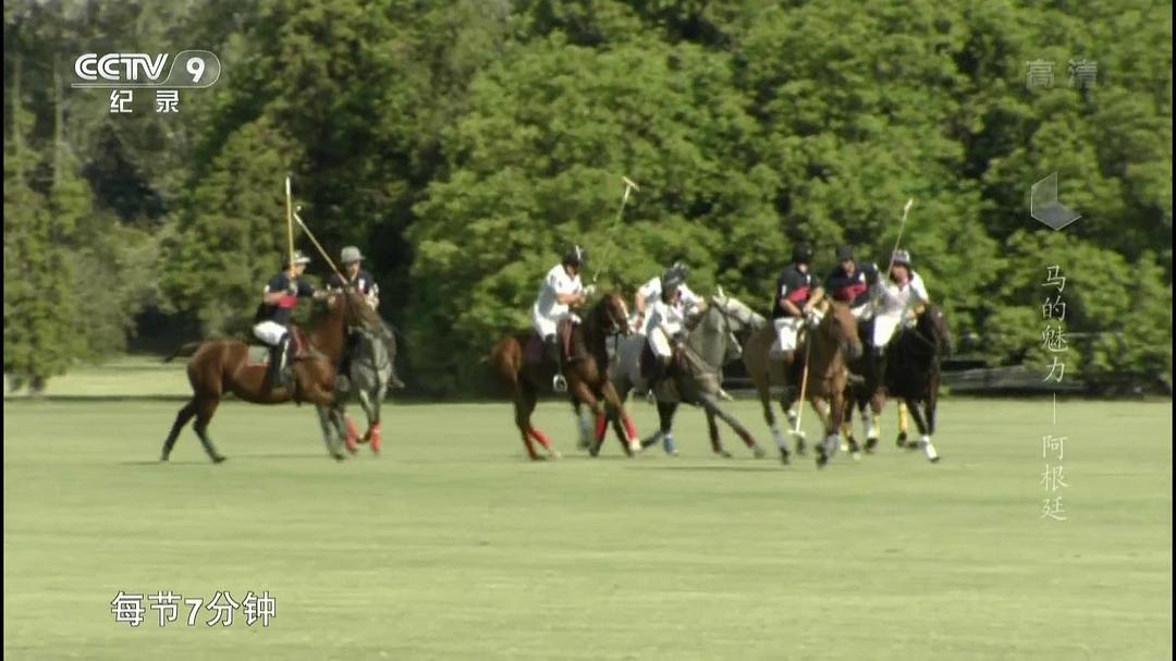 马的魅力 Im Bann der Pferde