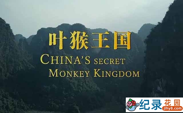 央视野生动物纪录片《叶猴王国》全1集中字 TS/蓝光高清纪录片资源百度云盘下载