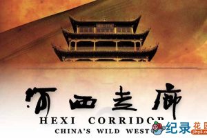 CCTV央视历史人文纪录片《河西走廊 Hexi Corridor》全10集 720P/1080i高清纪录片百度云下载