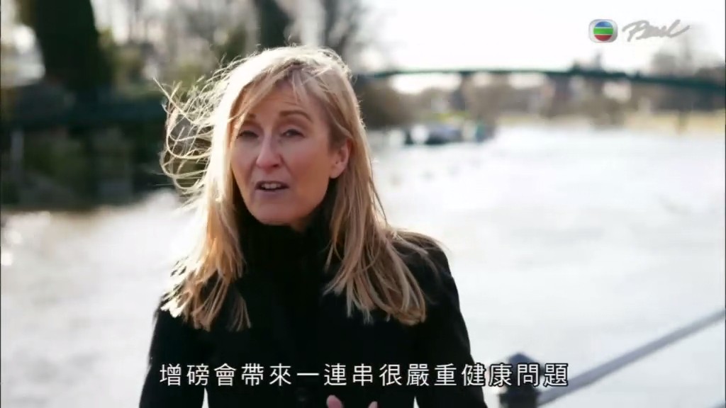 糖的真相 The Truth About Sugar